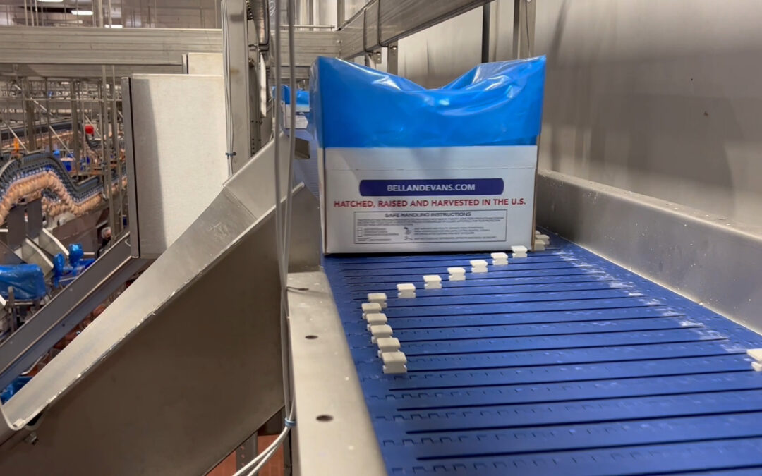 box handling conveyor